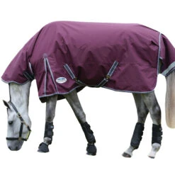 Weatherbeeta Comfitec Plus Dynamic II Combo Neck Midweight Horse Turnout Rug 6 Weatherbeeta Comfitec Plus Dynamic II Combo Neck Midweight Horse Turnout Rug -Pro Rider Shop k00a3222c65face414582a9d849ea8535