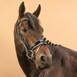 Horse & Pony Dressage Bridle 900 13 Horse & Pony Dressage Bridle 900 -Pro Rider Shop k04636ff1d88371f77843c2b81e8069d4