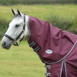 Weatherbeeta Comfitec Plus Dynamic II Lite Horse Turnout Neck Cover (Maroon/Grey/White) 5 Weatherbeeta Comfitec Plus Dynamic II Lite Horse Turnout Neck Cover (Maroon/Grey/White) -Pro Rider Shop k08ebc8545468bc6a45a260c0b8956f1b