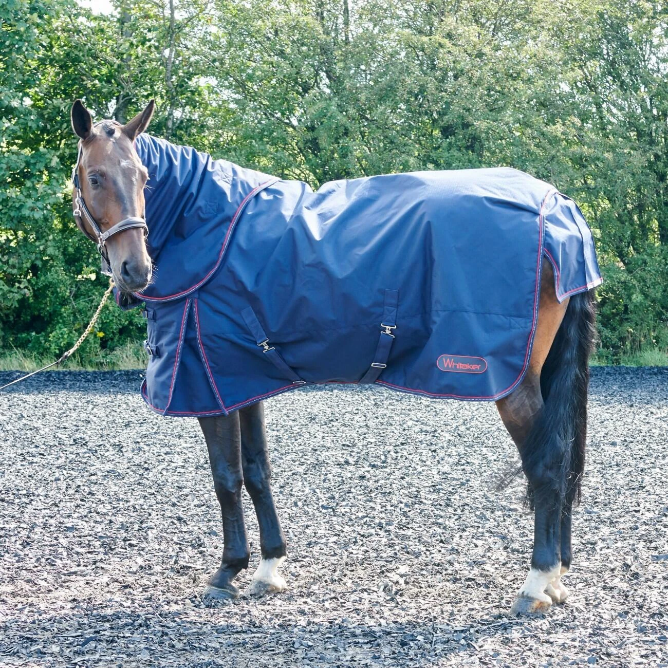 Rastrick 250G Combo Turnout Rug 2 Rastrick 250G Combo Turnout Rug - Image 2