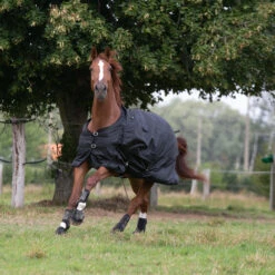 Waterproof Horse Rug 1000D Allweather 50 -Pro Rider Shop k105cc64811c1d273ed2aea163ee27448