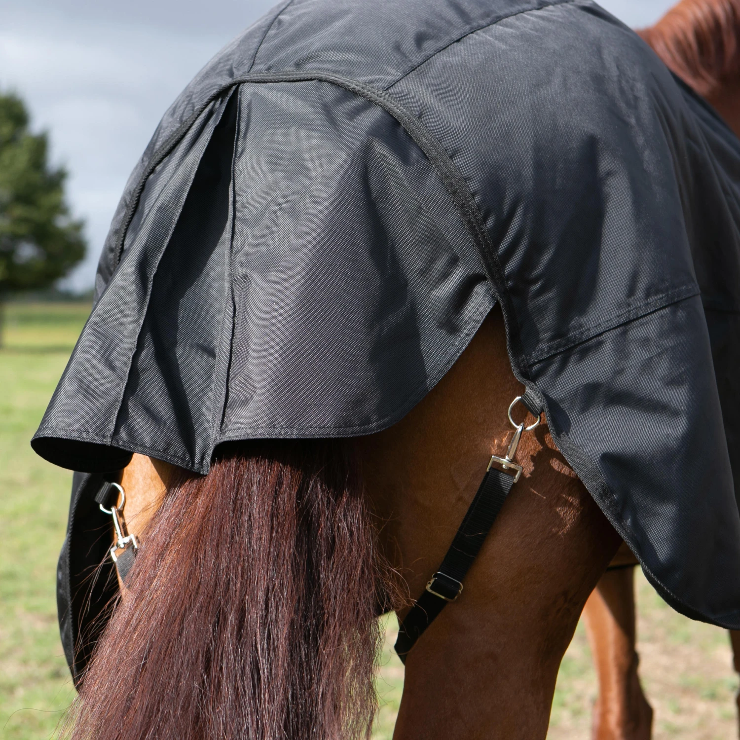 Outdoor Waterproof Rug For Horses Allweather 50 3 Outdoor Waterproof Rug For Horses Allweather 50 - Image 3