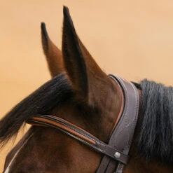 Horse & Pony Leather Bridle With French Noseband 580 28 Horse & Pony Leather Bridle With French Noseband 580 -Pro Rider Shop k12466fde8426f0f13a44b63a5d7782b7