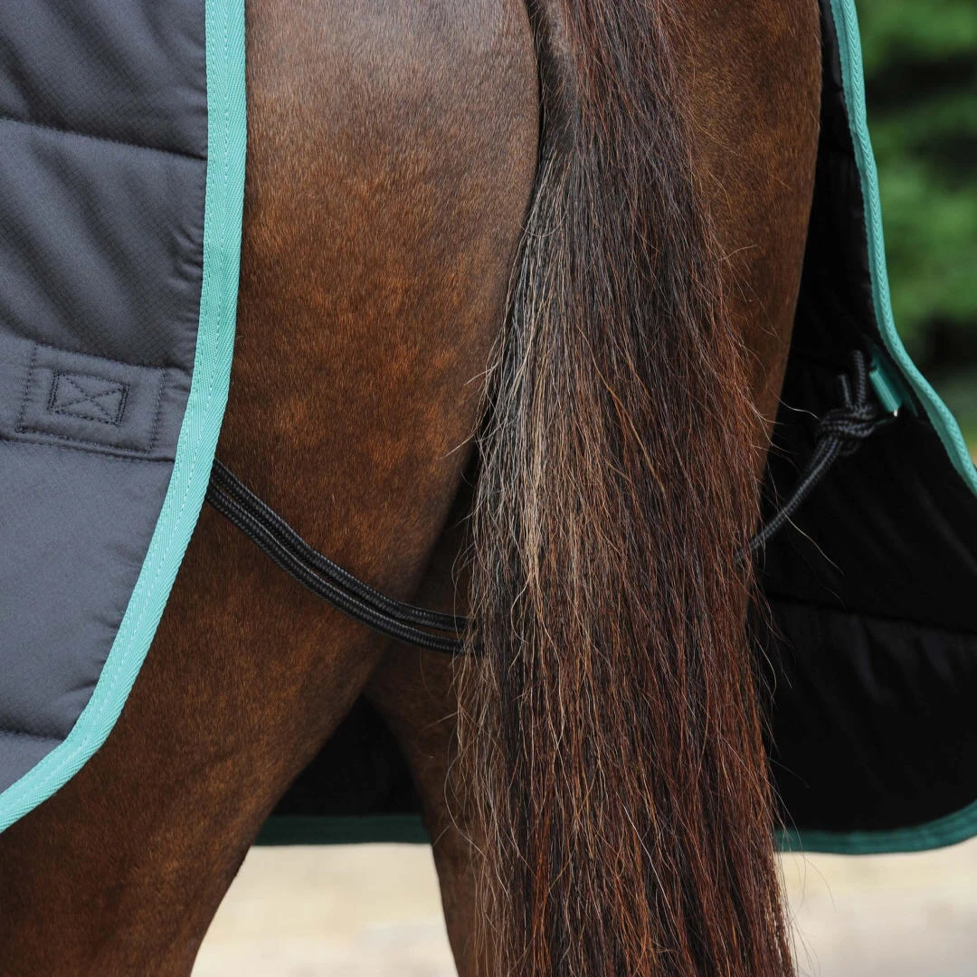 Weatherbeeta GreenTec StandardNeck Medium Lightweight Horse Stable Rug (Black/Bottle Green) 2 Weatherbeeta GreenTec StandardNeck Medium Lightweight Horse Stable Rug (Black/Bottle Green) - Image 2