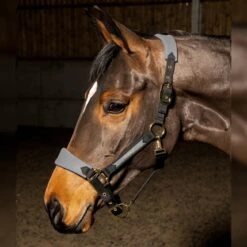 HAREWOOD HEADCOLLAR -Pro Rider Shop k16b31e90d001532fb7bb5c3f78dd6010