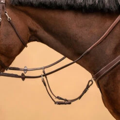 5-Point Hunting Martingale For Horse & Pony 16 5-Point Hunting Martingale For Horse & Pony -Pro Rider Shop k18864c93c9a66ed88cc11addf8690a53