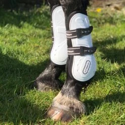 Bingley Tendon And Fetlock Boots 10 Bingley Tendon And Fetlock Boots -Pro Rider Shop k1a0f319ddc46d34ebc92ab18e4d7f5a8