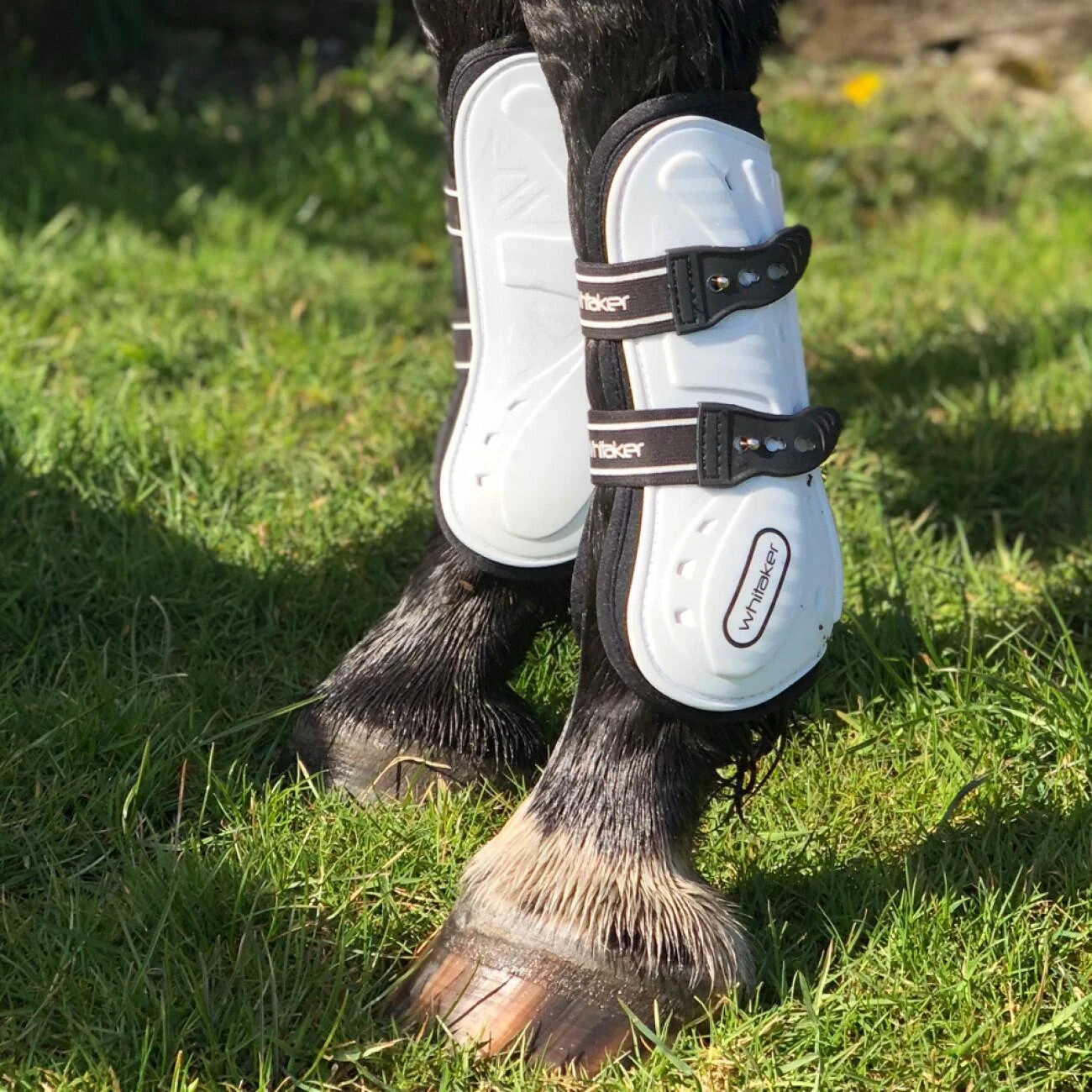 Bingley Tendon And Fetlock Boots 5 Bingley Tendon And Fetlock Boots - Image 5