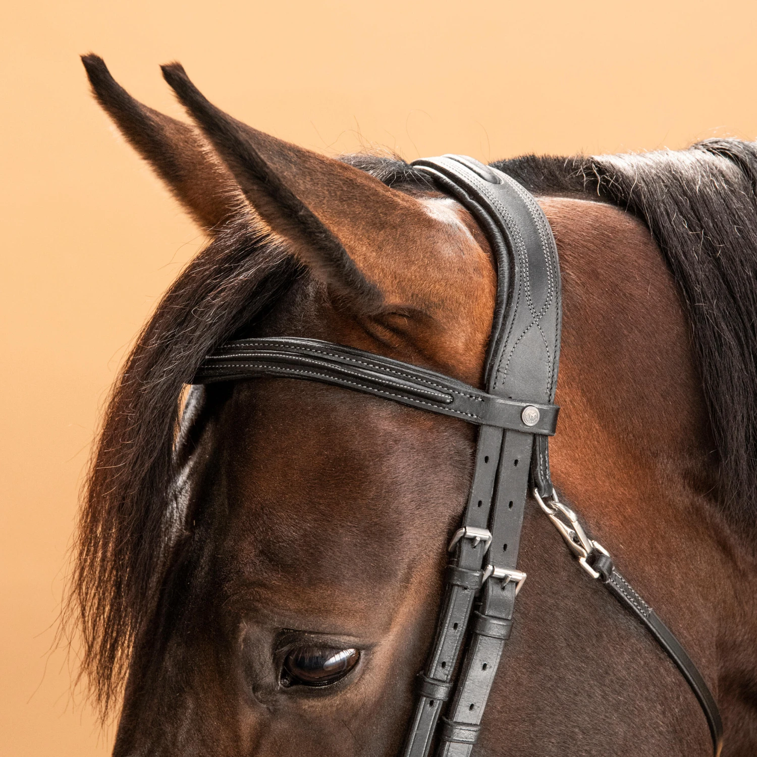 Horse & Pony Leather Bridle With French Noseband 580 4 Horse & Pony Leather Bridle With French Noseband 580 - Image 4