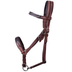 Trail Horse Riding Bridle / Halter And Reins Escape - Brown 34 Trail Horse Riding Bridle / Halter And Reins Escape - Brown -Pro Rider Shop k1bd2030751ce6bdf72631e3980c0e649