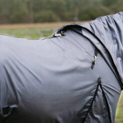 Horse Riding Fly Sheet For Horse & Pony 100 13 Horse Riding Fly Sheet For Horse & Pony 100 -Pro Rider Shop k1d42f01a26a16c988f17c26ed9928302