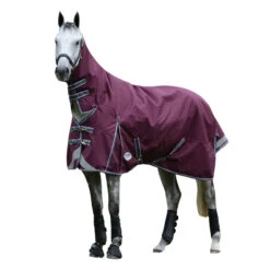 Weatherbeeta Comfitec Plus Dynamic II Combo Neck Medium Lightweight Horse Turnout Rug 7 Weatherbeeta Comfitec Plus Dynamic II Combo Neck Medium Lightweight Horse Turnout Rug -Pro Rider Shop k1e12e58681075747834e0152d6305ab8 1