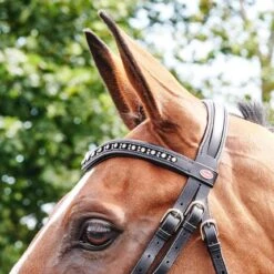 Lynton Flash Bridle With X2 Browbands 15 Lynton Flash Bridle With X2 Browbands -Pro Rider Shop k1fc06901b195b3ff03d1b9fafdfcdaf6