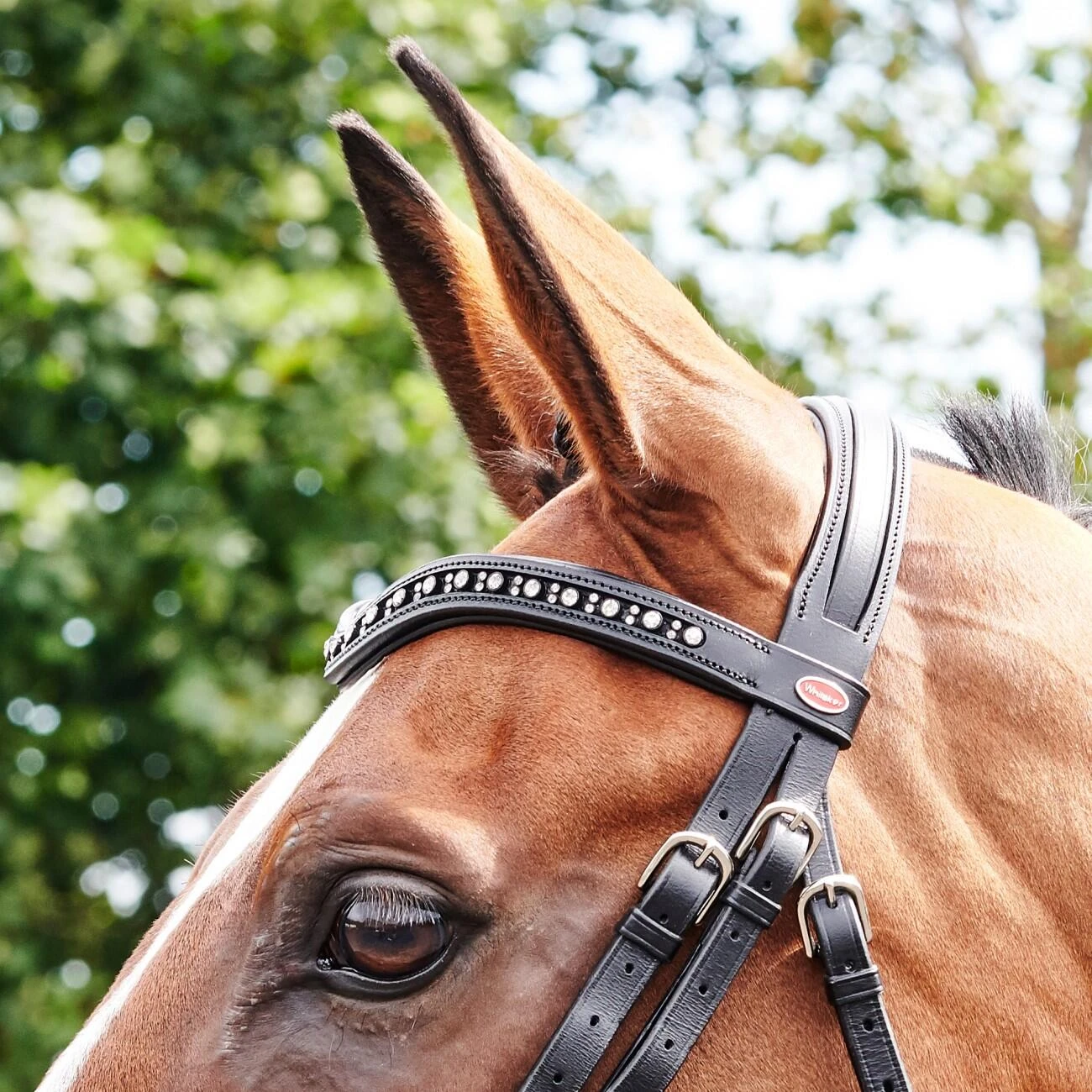 Lynton Flash Bridle With X2 Browbands 8 Lynton Flash Bridle With X2 Browbands - Image 8