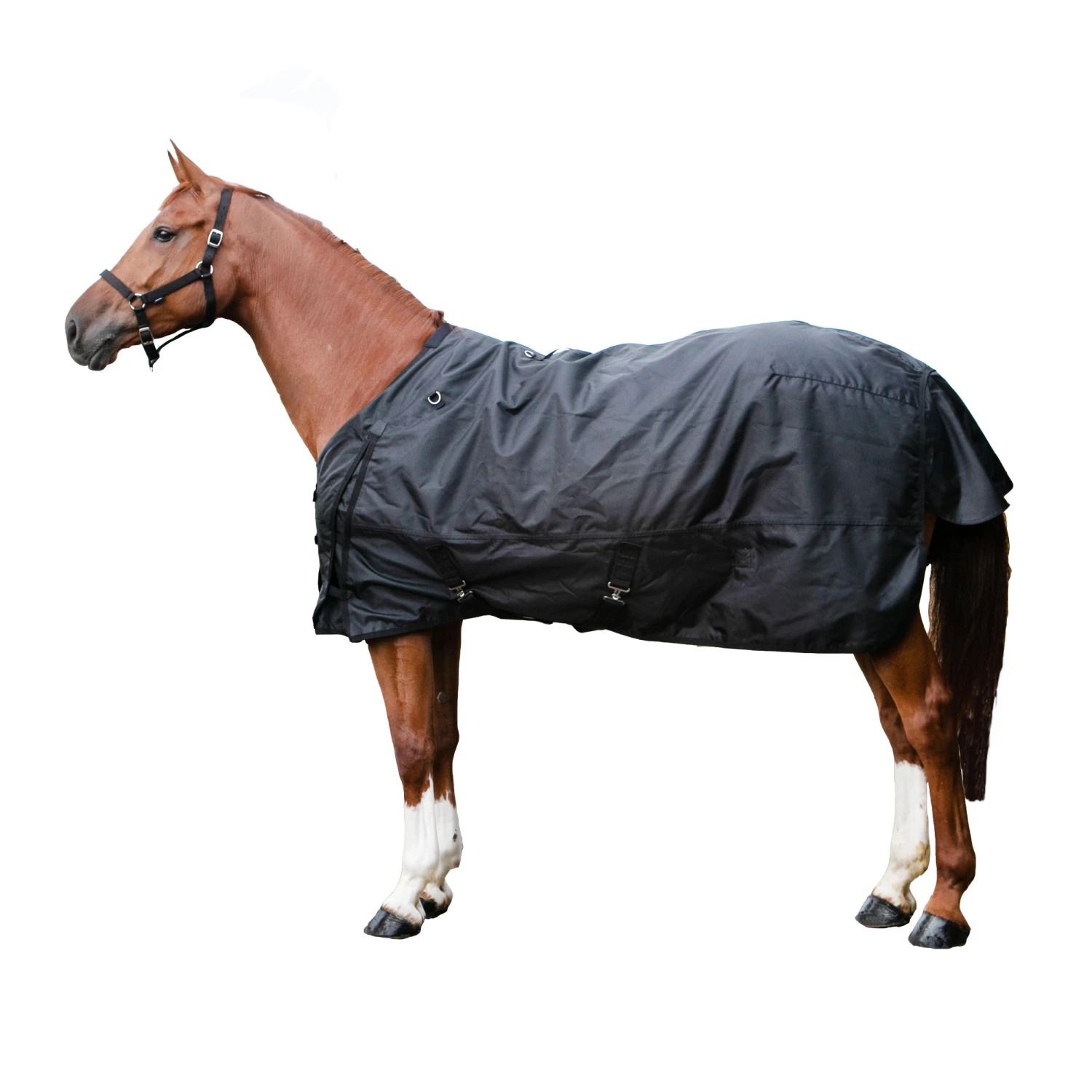 Outdoor Waterproof Rug For Horses Allweather 50 1 Outdoor Waterproof Rug For Horses Allweather 50