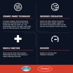 Weatherbeeta Comfitec Channel Quilt Therapy Tec Detachaneck Medium Rug (Black/Silver/Red) -Pro Rider Shop k2300edc635c05b1e9d4c212d5d00d173 1