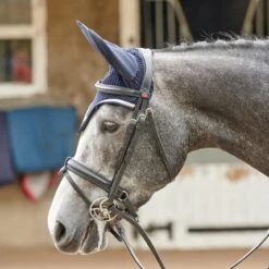 EASTWOOD CRANK BRIDLE INCLUDING REINS 10 EASTWOOD CRANK BRIDLE INCLUDING REINS -Pro Rider Shop k23571d903f4c50699da0f1f6e4a22963