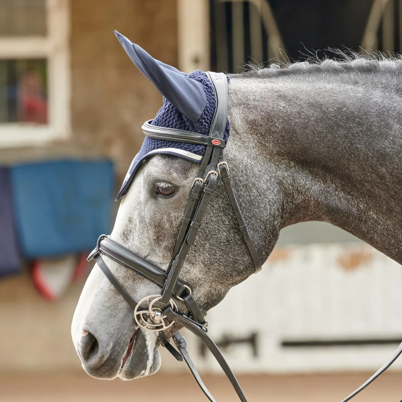 EASTWOOD CRANK BRIDLE INCLUDING REINS 5 EASTWOOD CRANK BRIDLE INCLUDING REINS - Image 5