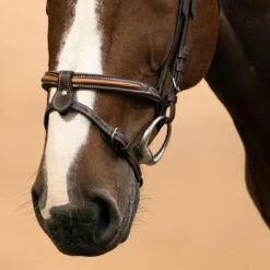 Horse & Pony Leather Bridle With French Noseband 580 30 Horse & Pony Leather Bridle With French Noseband 580 -Pro Rider Shop k241677c16f449a6be1707bcb07929f2c