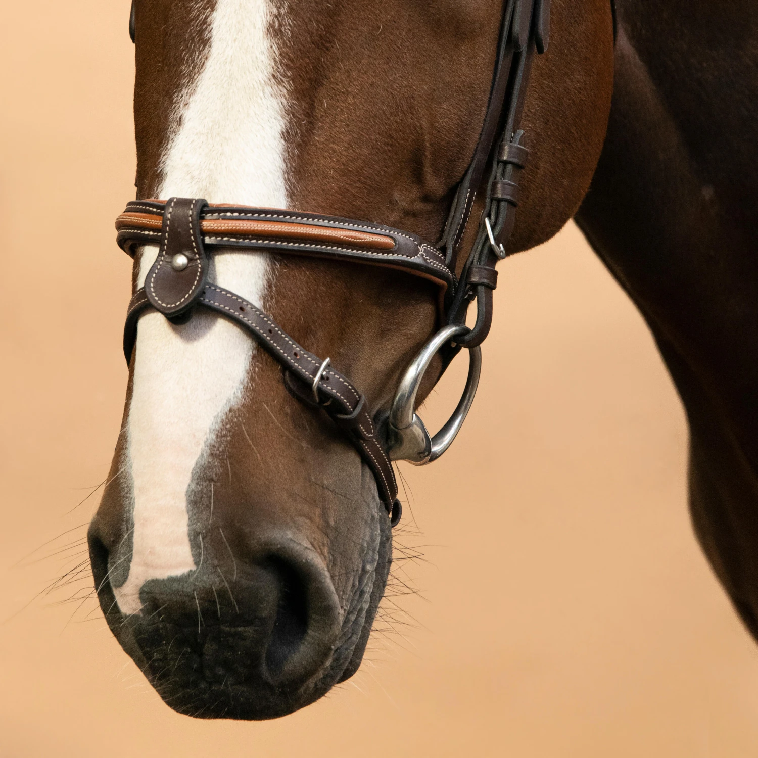 Horse & Pony Leather Bridle With French Noseband 580 15 Horse & Pony Leather Bridle With French Noseband 580 - Image 15