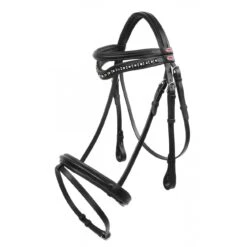 Lynton Flash Bridle With X2 Browbands 13 Lynton Flash Bridle With X2 Browbands -Pro Rider Shop k2600663c07f8c4d69e2c7c5c6df85e3a
