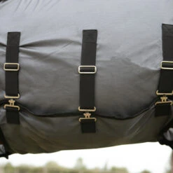 Horse Riding Fly Sheet For Horse & Pony 100 11 Horse Riding Fly Sheet For Horse & Pony 100 -Pro Rider Shop k26c07e297af9129963cdae1822f4e6a2