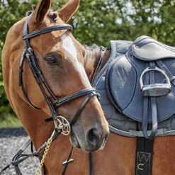 Barton Raised Flash Bridle Includes Rubber Reins 7 Barton Raised Flash Bridle Includes Rubber Reins -Pro Rider Shop k28be04e8c32651582db76d1ab50aecb9