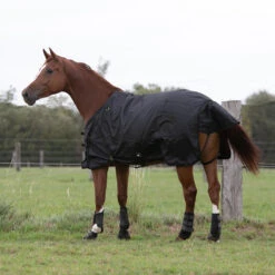 Waterproof Horse Rug 1000D Allweather 50 -Pro Rider Shop k2d9cb806aa5dd0a6224e0ed9a39e57f1