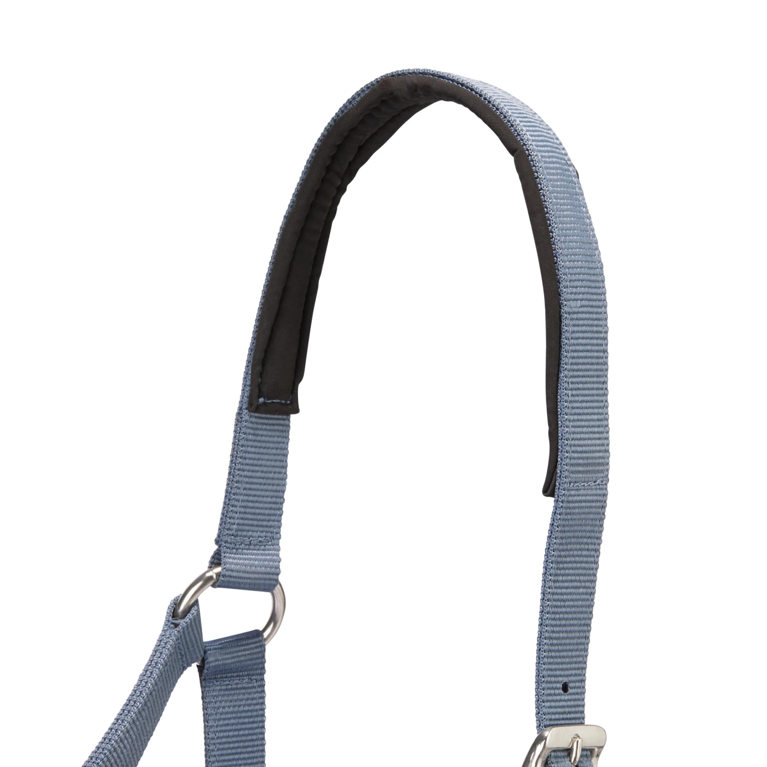 Horse Riding Halter + Leadrope Set - Nubuck/Blue 7 Horse Riding Halter + Leadrope Set - Nubuck/Blue - Image 7