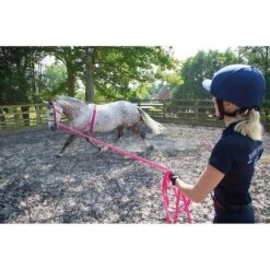 Fleece Padding Nylon Horse Lunging Roller (Black) -Pro Rider Shop k35d43ec75cd6f754b755ff500a171512