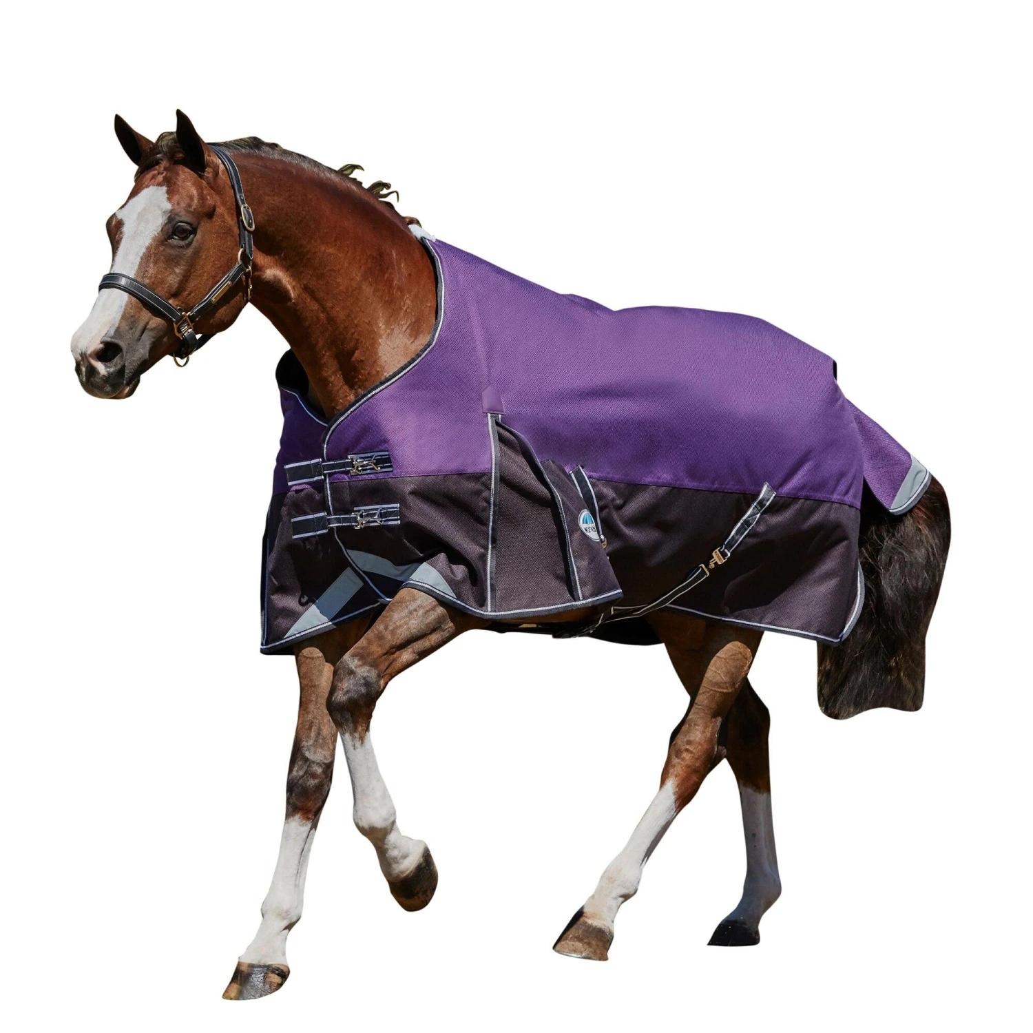 Weatherbeeta Comfitec Plus Lite Dynamic Standard Neck Turnout Rug (Purple/Black) 1 Weatherbeeta Comfitec Plus Lite Dynamic Standard Neck Turnout Rug (Purple/Black)