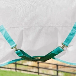 Weatherbeeta GreenTec Plus Combo Neck Lightweight Horse Turnout Rug (Light Grey/Bottle Green) -Pro Rider Shop k386fb34c00711e372b38c9b2dc1d092b