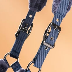 Horse Riding Halter And Leadrope Set For Horse And Pony 8 Horse Riding Halter And Leadrope Set For Horse And Pony -Pro Rider Shop k3c3fbca13b78c246ed5d6b8044195f5a