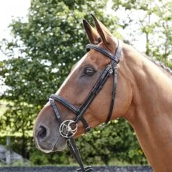 Barton Raised Flash Bridle Includes Rubber Reins 6 Barton Raised Flash Bridle Includes Rubber Reins -Pro Rider Shop k3d36d1279d2dd4c4d457a46ad2d4e6a0