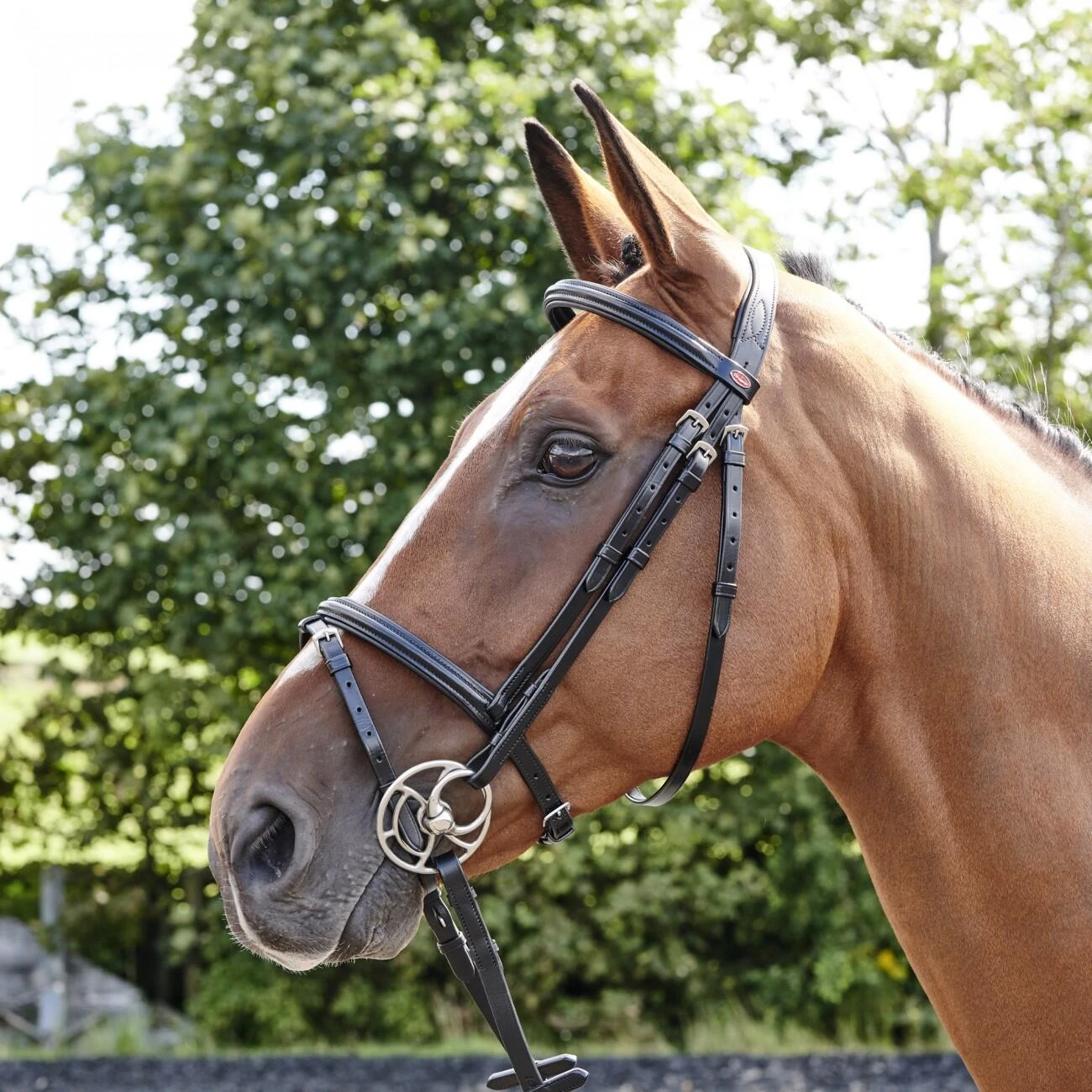 Barton Raised Flash Bridle Includes Rubber Reins 3 Barton Raised Flash Bridle Includes Rubber Reins - Image 3