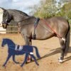 JOHN WHITAKER TRAINING SYSTEM
