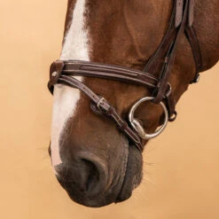 Horse Riding Leather Bridle With French Noseband For Horse & Pony 900 -Pro Rider Shop k3f3f4ef5b114f71ee30f2dfc83d63ef5