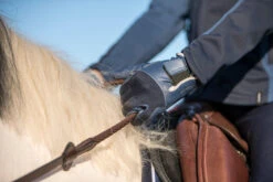 560 Kids' Horse Riding Gloves 12 560 Kids' Horse Riding Gloves -Pro Rider Shop k3fd4fdab1a51a533bb5fbf54ac4ed94a