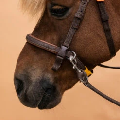Horse Riding Synthetic Beginner Pony Bridle And Reins 100 19 Horse Riding Synthetic Beginner Pony Bridle And Reins 100 -Pro Rider Shop k44bef3e52879e6252d6687247db03f32