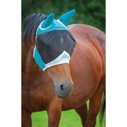 Fine Mesh Horse Fly Mask With Ears (Black) -Pro Rider Shop k49b535decfd0af79345c82175162c4b1