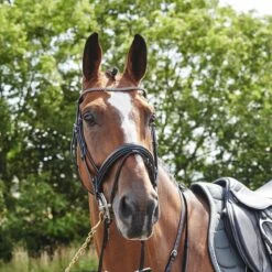 Barton Bling Flash Bridle With Rubber Reins 13 Barton Bling Flash Bridle With Rubber Reins -Pro Rider Shop k4b42d237d4b37d06960a6b604658ebd7