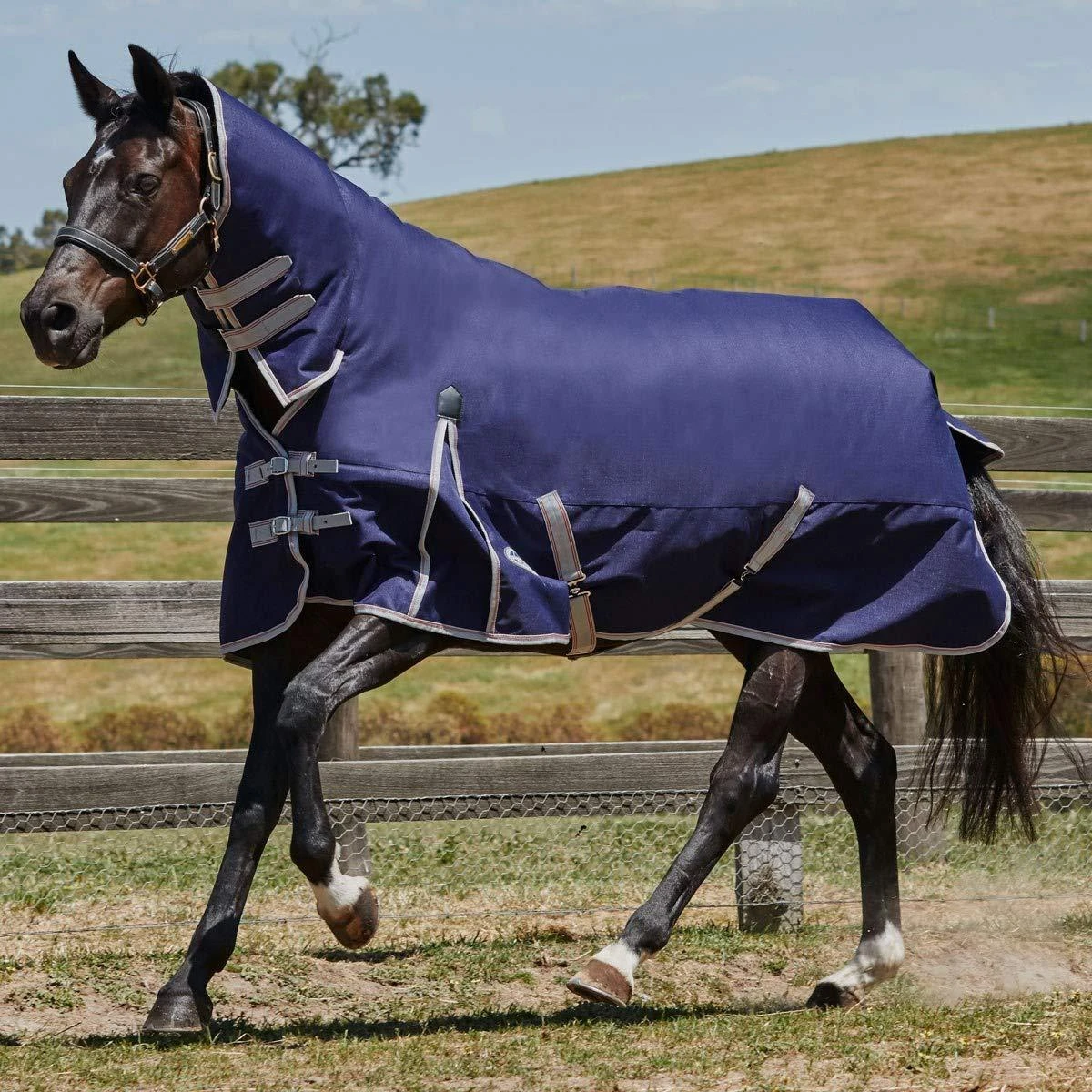 Weatherbeeta Comfitec Heavy Essential Combo Neck Turnout Rug (Navy/Silver/Red) 2 Weatherbeeta Comfitec Heavy Essential Combo Neck Turnout Rug (Navy/Silver/Red) - Image 2