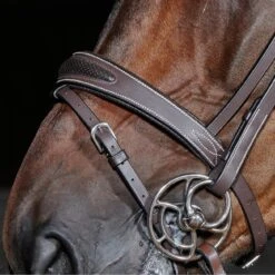 Chicago Breathable Leather Bridle -Pro Rider Shop k4f320abb3d4210b56ec54cde1a190022