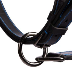 Horse And Pony Riding Leather Halter Performer 7 Horse And Pony Riding Leather Halter Performer -Pro Rider Shop k4f8576a6d883e57d2d3b48ca12430f9c