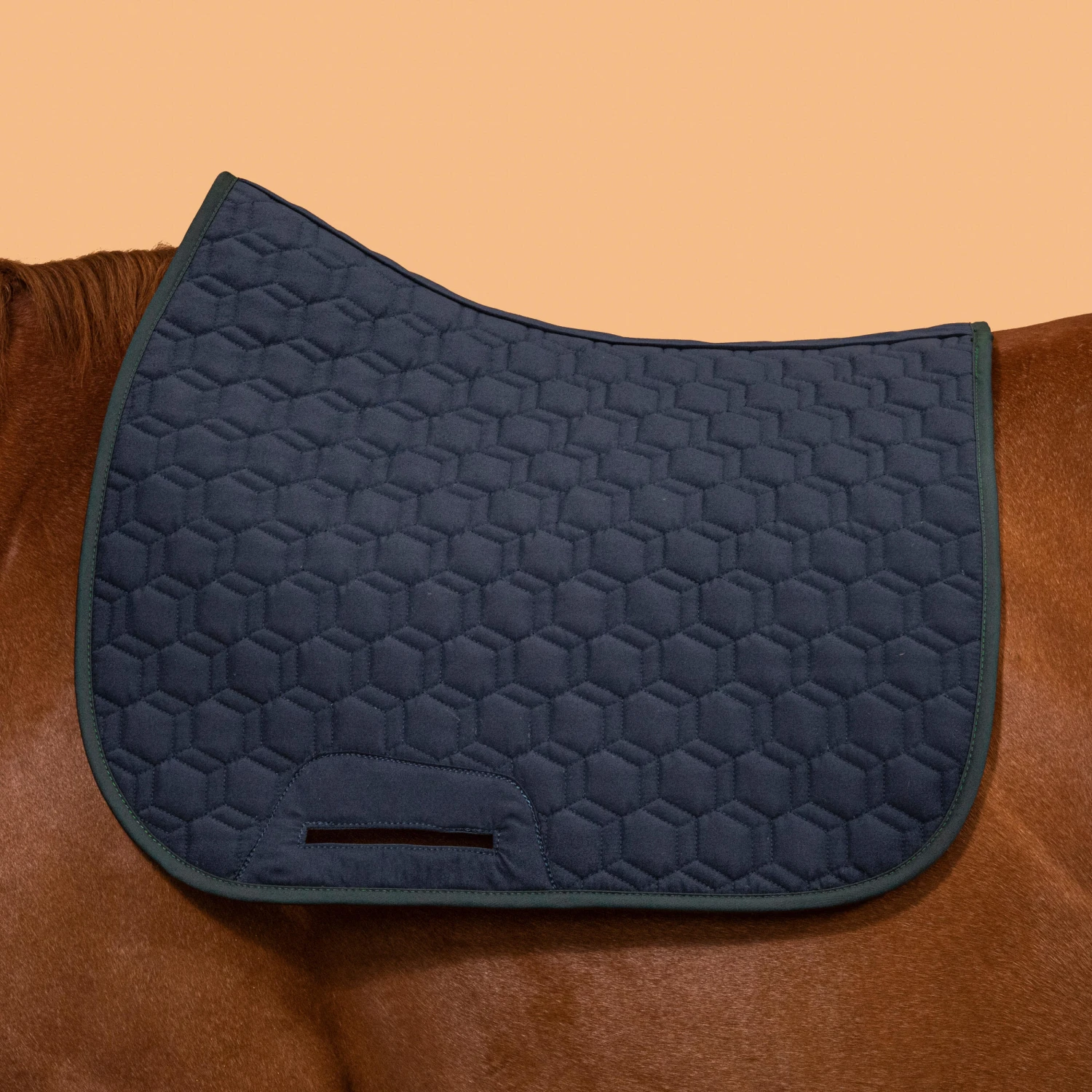 Reversible Horse Riding Saddle Cloth For Horse And Pony 500 15 Reversible Horse Riding Saddle Cloth For Horse And Pony 500 - Image 15