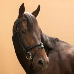 Horse & Pony Leather Bridle With French Noseband 580 18 Horse & Pony Leather Bridle With French Noseband 580 -Pro Rider Shop k52da00871423217b6ceb82f18d3948fd