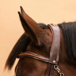 Horse Riding Crossed-Noseband Leather Bridle For Horse And Pony 580 28 Horse Riding Crossed-Noseband Leather Bridle For Horse And Pony 580 -Pro Rider Shop k547dcfc9b5baf7125500358eca3b65d0