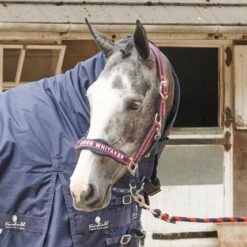 AIRFLOW HEAD COLLAR WITH LEADROPE SET 7 AIRFLOW HEAD COLLAR WITH LEADROPE SET -Pro Rider Shop k5759a33801e4ccd6d5ebee619cc2a54c