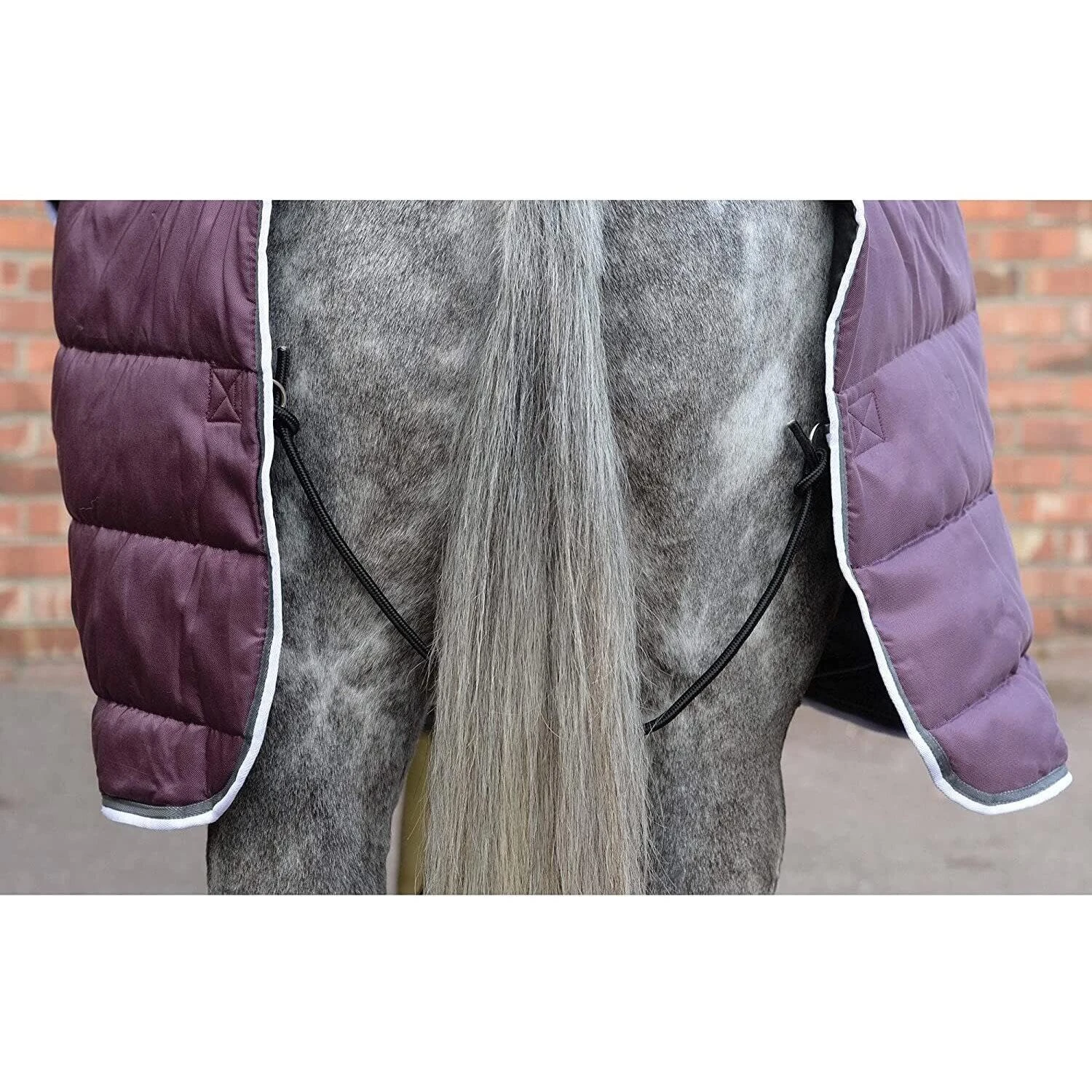 Weatherbeeta Comfitec Plus Dynamic II Horse Stable Rug (Maroon/Grey/White) 2 Weatherbeeta Comfitec Plus Dynamic II Horse Stable Rug (Maroon/Grey/White) - Image 2