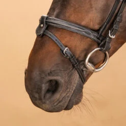 Horse & Pony Leather Bridle With French Noseband 580 21 Horse & Pony Leather Bridle With French Noseband 580 -Pro Rider Shop k5ab11b53fd964453c48172b6390d78cd